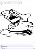 coloriage-requin-2